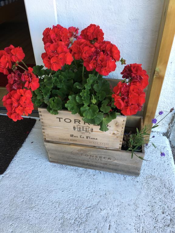 Rum I Villa - Kaerleksudden Norrtaelje المظهر الخارجي الصورة